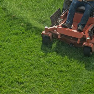 Gardner on lawnmower